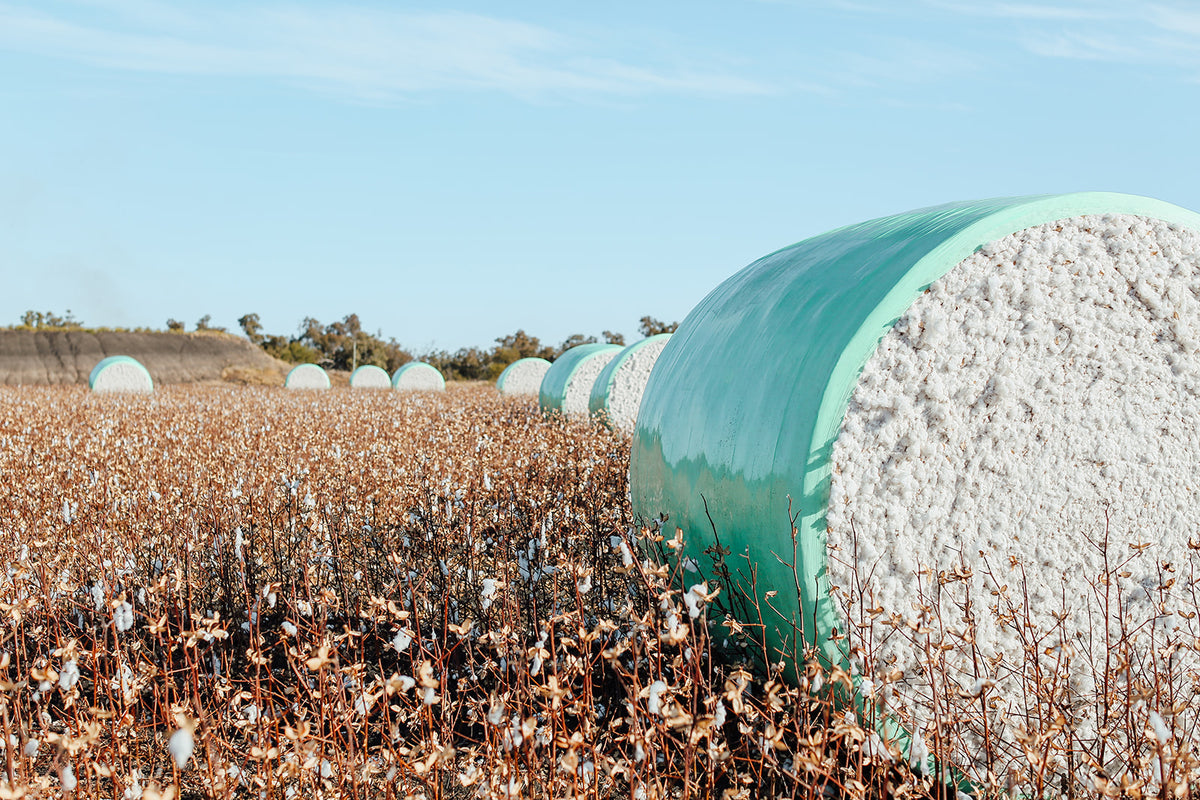 Cotton Module wrap with RFID tags and Sticky layer | Plant & Pick ...
